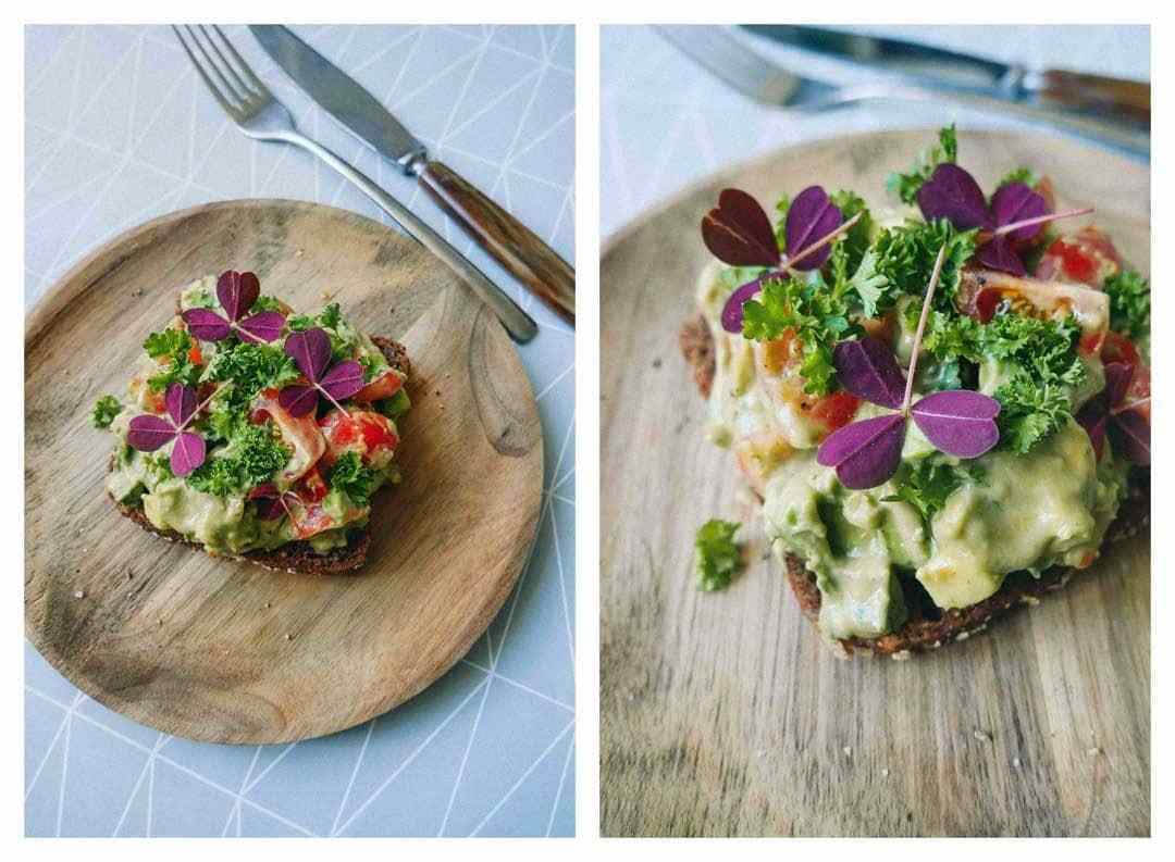 salad avocado toasted rye bread