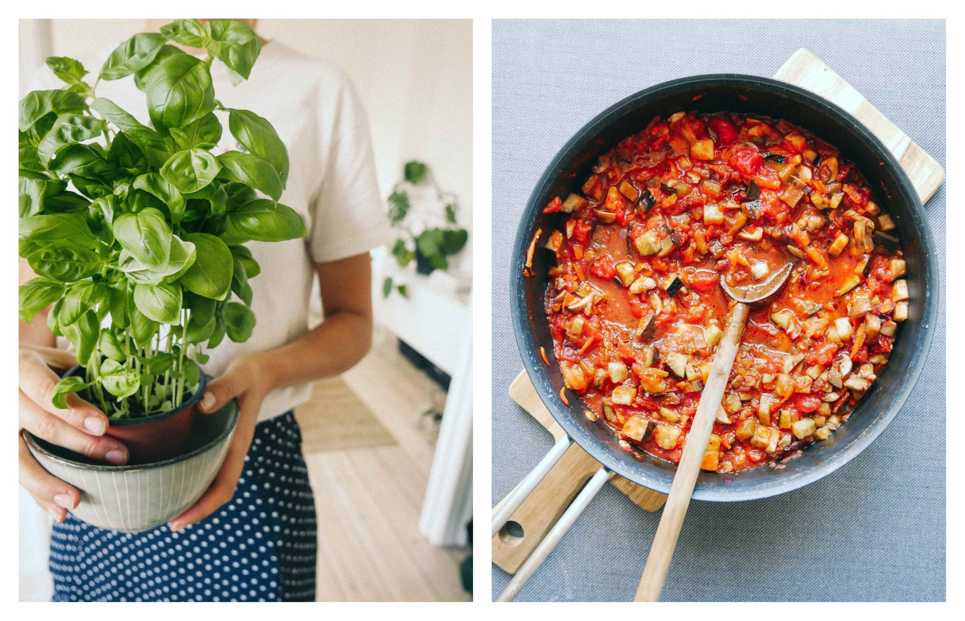 basil leaves and veggies